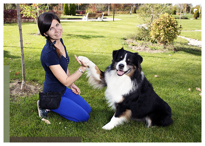 Image of a dog shaking hands with a trainer