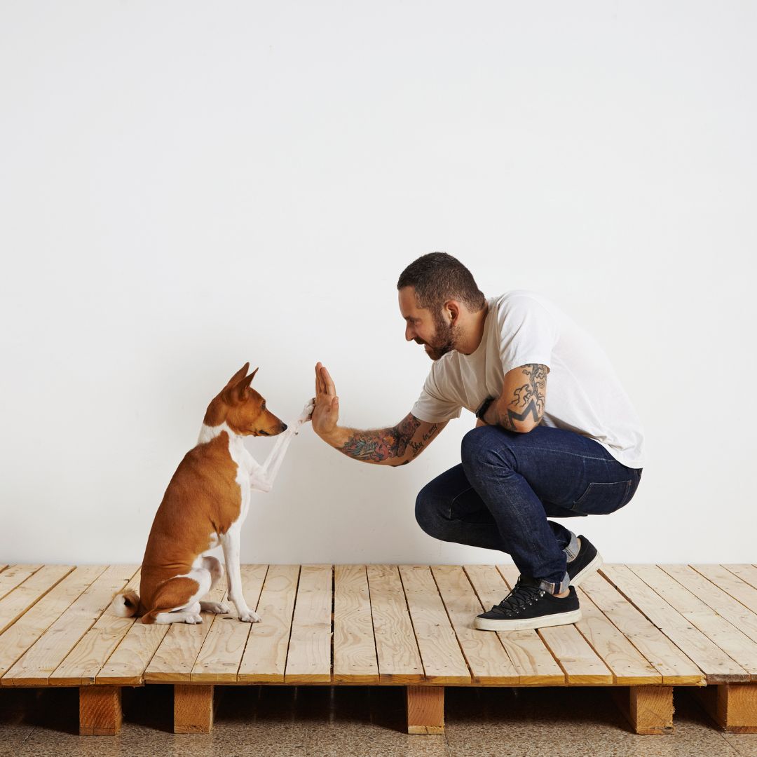 Man and his dog training
