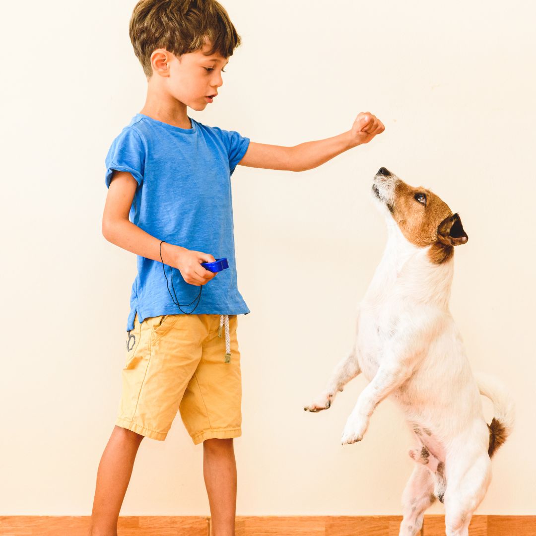 Young boy holding a treat up for a dog. 