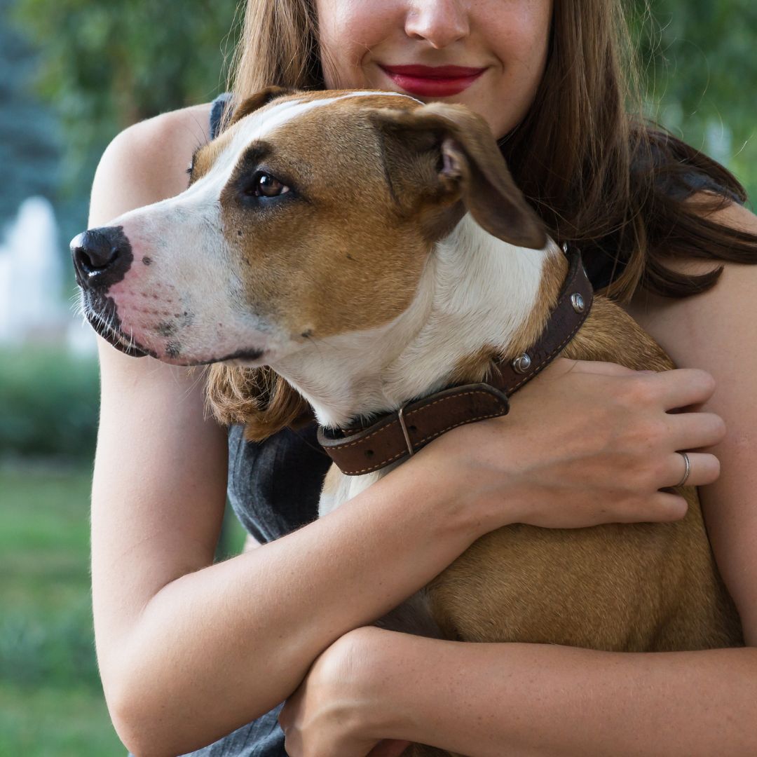 person hugging dog
