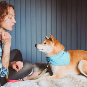 dog training with owner